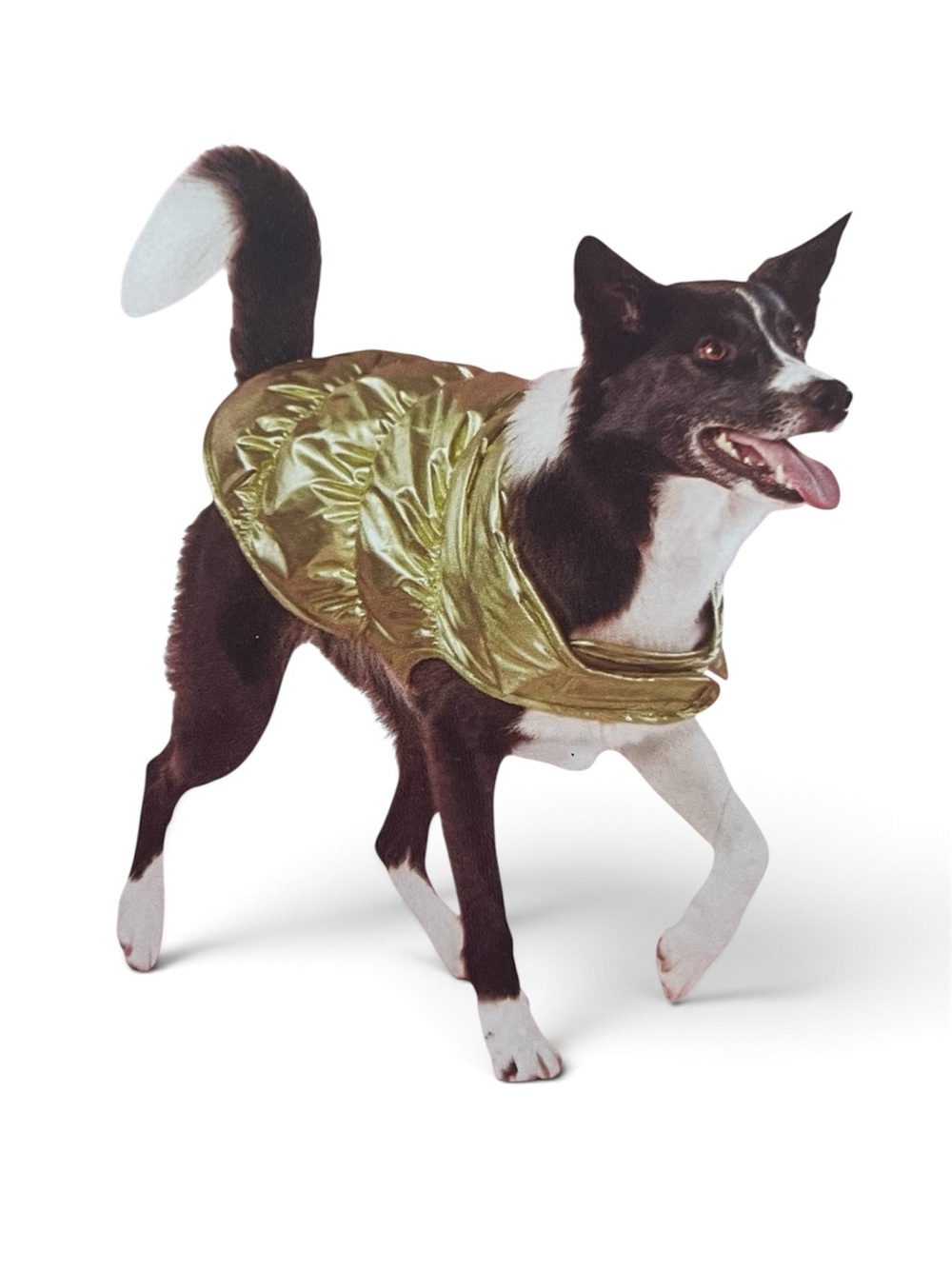 Boots & Barkley Gold Metallic Shiny Dog Pet Velcro Puff Vest up-100lbs Size XL